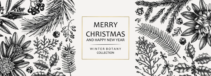 Christmas banner design. Vector frame with hand sketched winter flowers, evergreen plants and conifers. Vintage background with botanical elements. Engraved style vintage winter illustration.